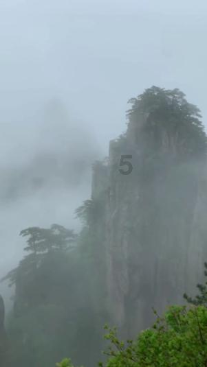 逗小猴开心系列212