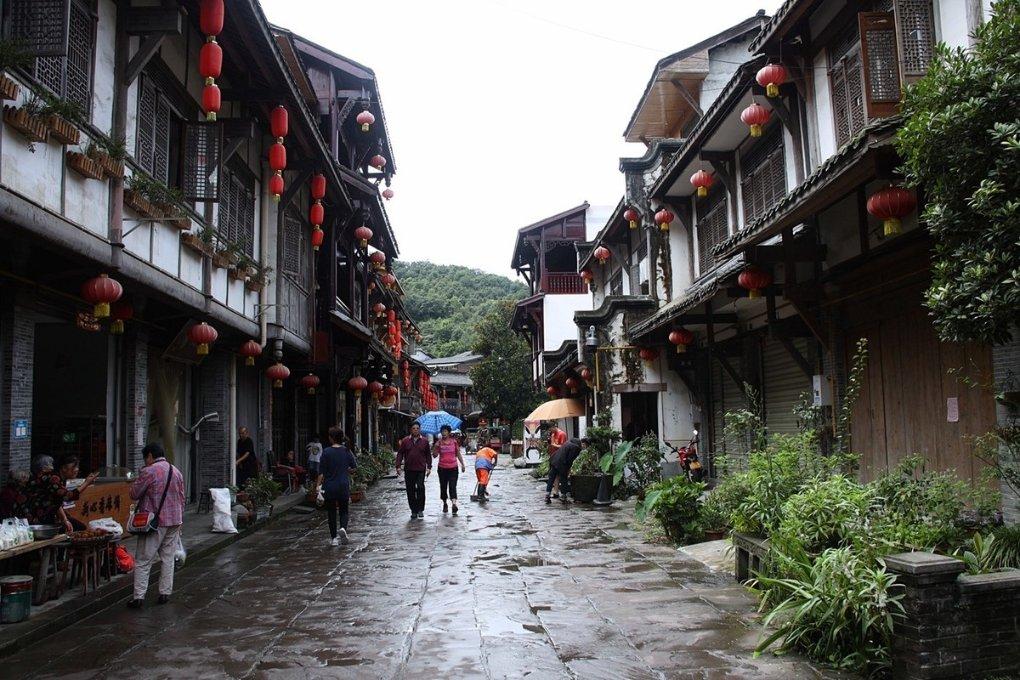 大千世界无奇不有,砍掉一棵1400年的古树的理由会是这么奇葩
